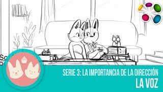 Como se hace un Corto animado  La importancia de la dirección (Video 3 de 3)