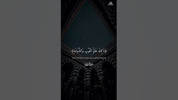 أكتب شيئاً تؤجر عليه ✨تلاوة من سورة السجدة ✨ للقارئ ❤️ إسلام صبحي ❤️