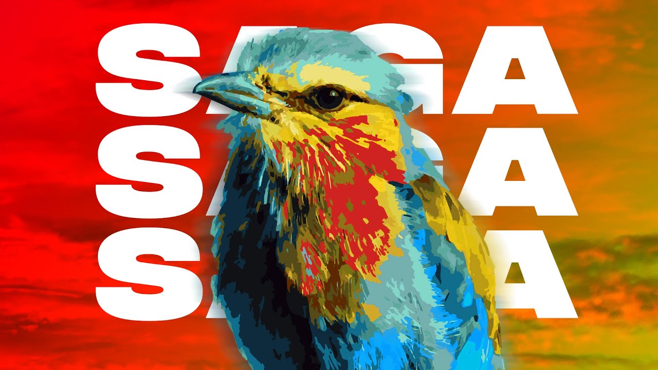 TVARI - Saga | No Copyright Tropical House Music