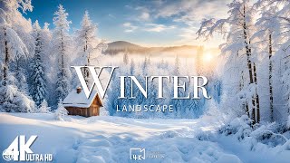 Winter • 4K Nature Relaxation Film • Peaceful Relaxing Music • Video UltraHD