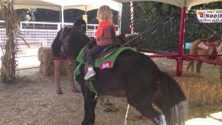 When Ya Gotta Pee...