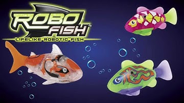Tropical Robo Fish from Hawkins Bazaar