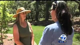 Reward offered for Santa Cruz County crime spree suspect