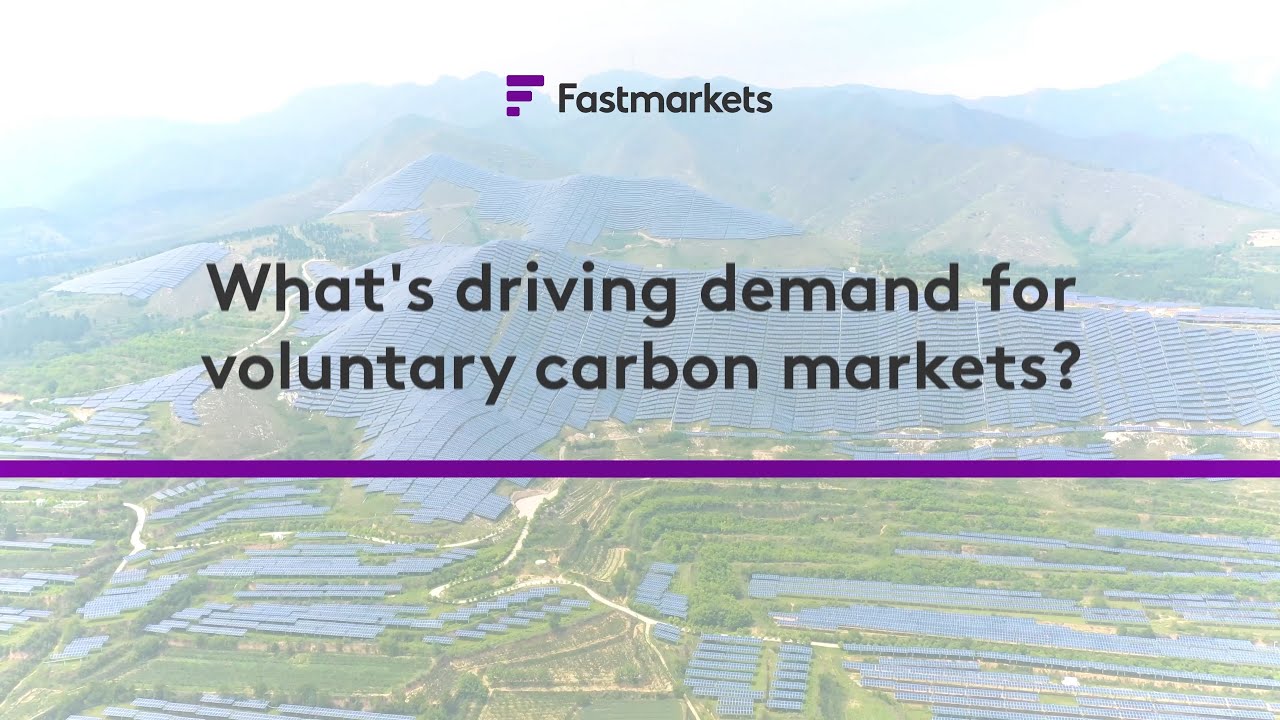 Fastmarkets Carbon interview: What’s driving demand for voluntary carbon markets?