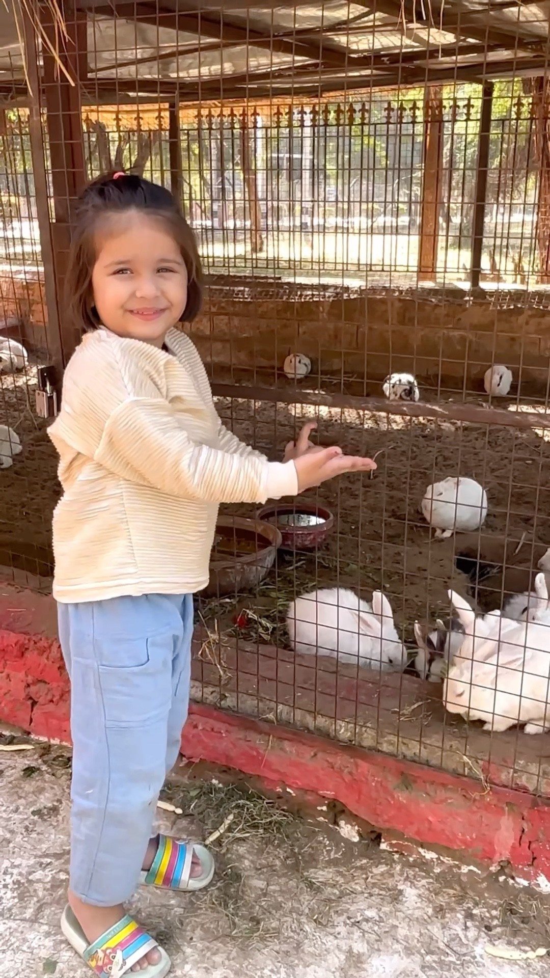 Vedika akshita ne rabbit ko khana khilaya ??