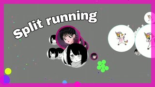 Caffe Senpai-agar / Fast Split run? 💯 (高速狐式)