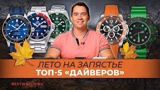 Яркость на полную! | ТОП 5 «дайверов» сентября