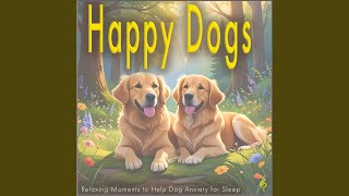 Happy Paws Tonight