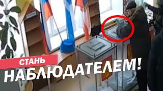 Как стать наблюдателем на выборах? Александр Пономарев