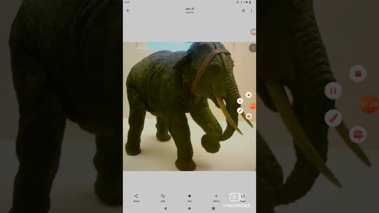 Valley Of The Gwangi (1969) ElePhant Sound Effects (Matthew RodRiguez's Version) 