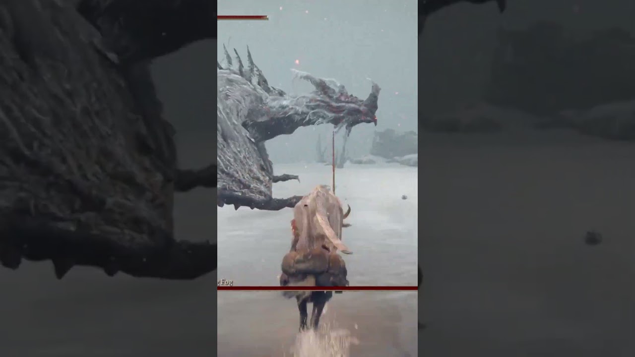 Tất cả loài rồng trong Elden Ring phần [1] 