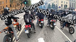 I Went To Swedens Biggest Moped Rideout Frihamnen 2025 Säsongsavning