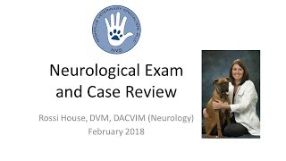 An indepth review of how to conduct a neurological exam in the veterinary patient