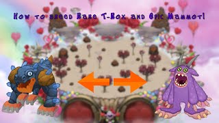 How to breed Rare T-Rox and Epic Mammot on all island’s! (my singing monsters)