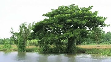 QVD Aquaculture  - Corporate Film