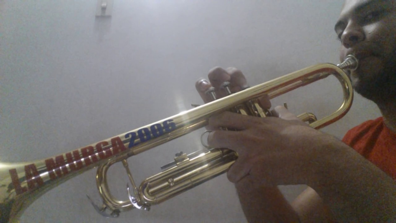 Temas que NO Pueden Faltar / Trompeta [2016]