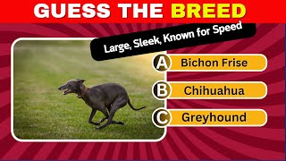 Guess The Dog Breed 🐶🐩🐕By Features - Animal Quiz @quizgentry