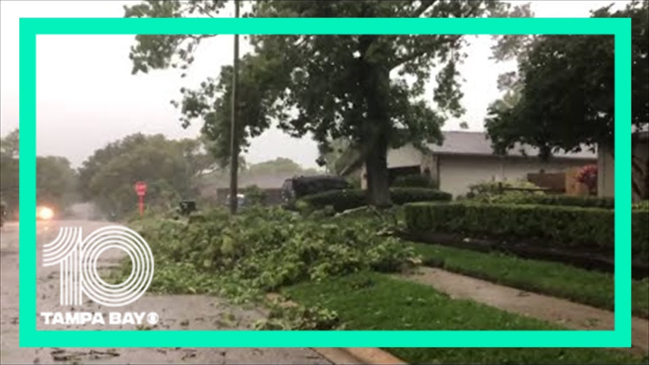 Live radar: Strong storms move through Tampa Bay area - YouTube