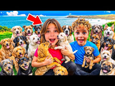 ARABAYA KOCAMAN KÖPEK ALAMAYIZ KUZEY ELİF SAKIN ‼️