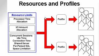 Celebrity learning oracle application developer 50 ‏   YouTube Wealth