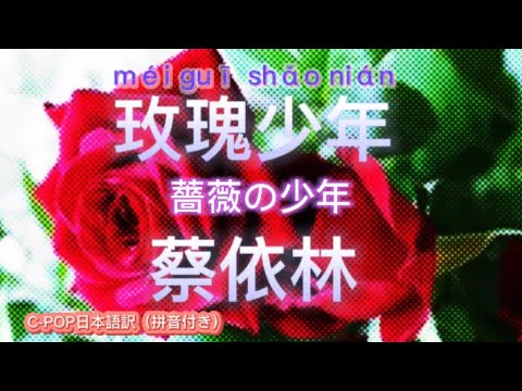 🌹玫瑰少年🌹（薔薇の少年）蔡依林　（拼音付き）#CPOP日本語訳 動態歌詞#蔡依林#玫瑰少年