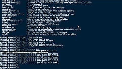 BGP neighbor peer-group