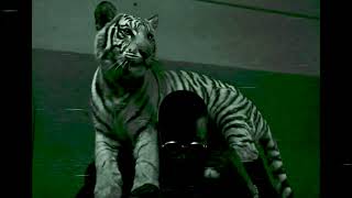 Rick Ross, French Montana, Max B- Minks In Miami (TRANQUILO JONES REMIX)