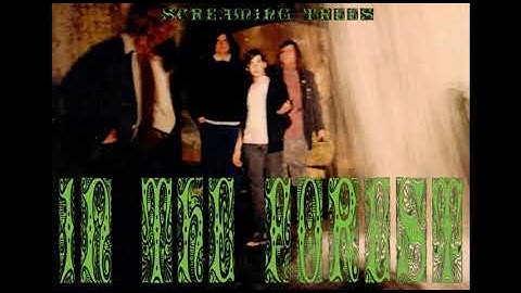 Screaming Trees-In The Forest (Gary Lee Conner original 1986 4 Track cassette demo)