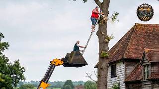 Idiots With Chainsaws: Tree Cutting Fails | Extreme Dangerous Logging Truck Fails #5