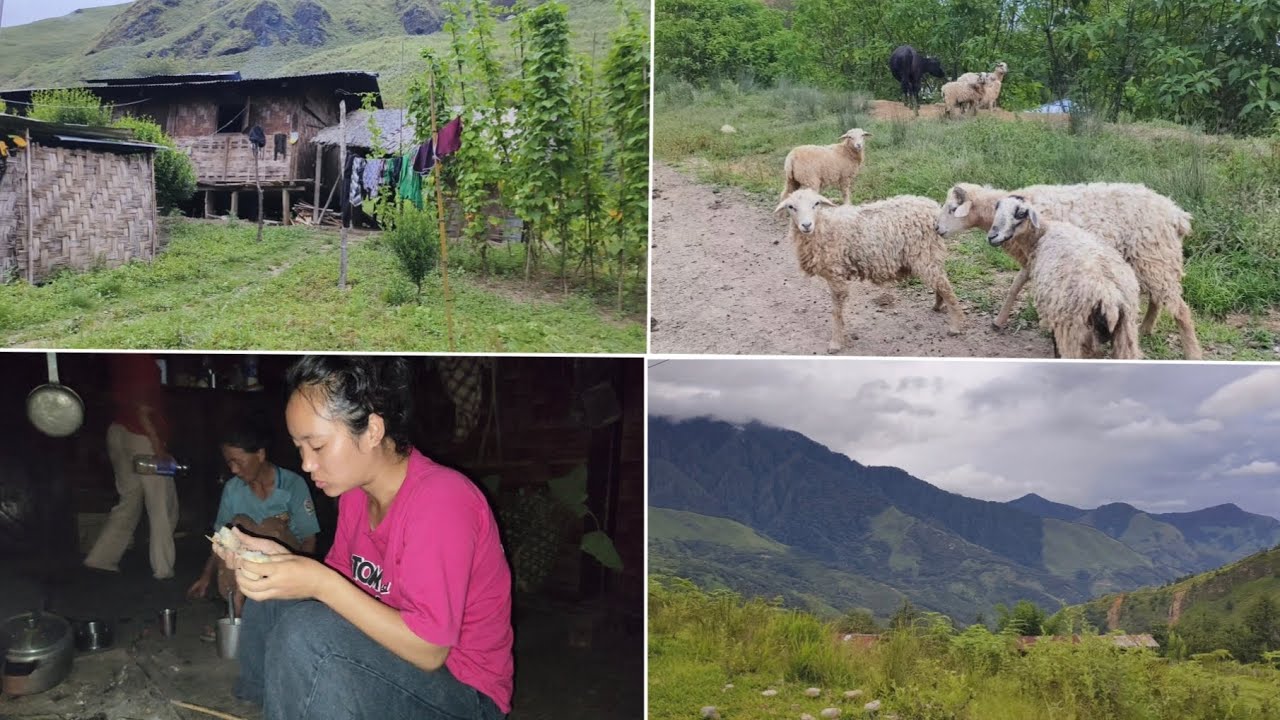 My Aunt's village home, 🛖🍃#villagelife #villagevlog #triballife #tribalhouse