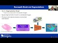 BMI Learn at Lunch Vision Foundry A System for Training Foundational Vision AI Models 1