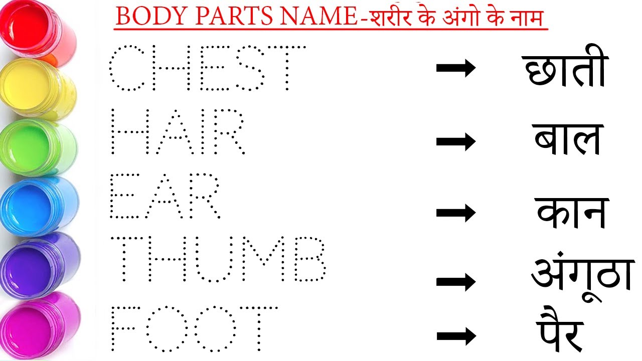 शरीर के अंगों के नाम || human body parts name with picture || body parts name in english