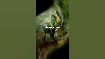 The cursed isle VS Pach of titans