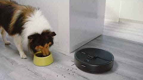 Roborock S6 Pure Robot Vacuum and Mop, Multi-Floor Mapping,