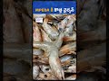 New MPEDA Chairman Takes Charge! | Future of Indian Seafood Exports Explained