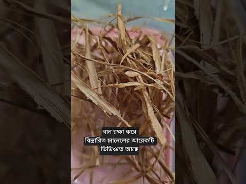 বান রক্ষা করে যাদু টোনা থেকে রক্ষা করে #জীবনরহস্য