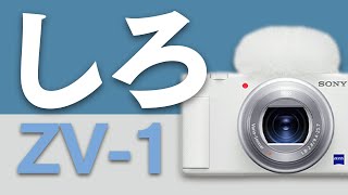 ZV-1にホワイトが登場！これはウサギっぽくてかわいい！！【vlogcam・zv1・sony】