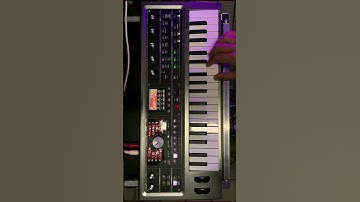 MY NEW PRESETS ON THE MICROKORG 2 (no talking, just tweaking) #microkorg #shorts #korg