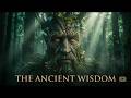 The Awakening of Treebeard | Ancient Ent Forest | Epic Fantasy Ambient Music