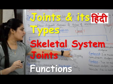 Types of Joint in Hindi | Human body | Skeletal System Joints | Structure | Functrions