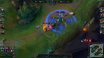 Warwick Ultimate(R) Bug.