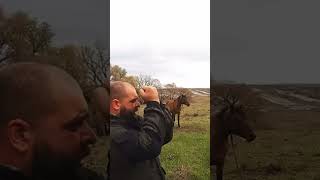 Выживание ,Защита от бешеного Коня