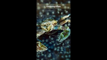 Live  #shorts #shortvideo 18-10-2024