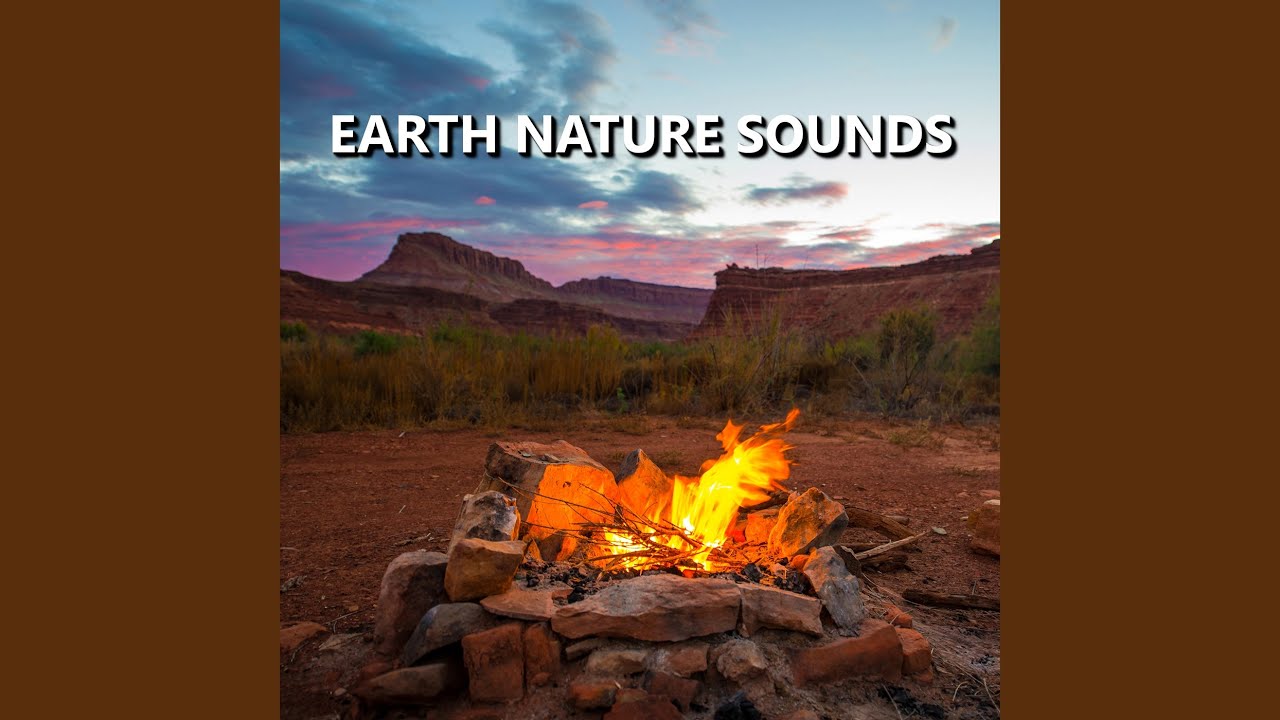 Dynamic Outdoor Nature Recording