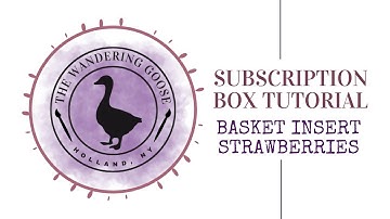 Subscription Box Basket Interchangeable STRAWBERRY Insert