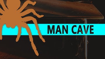 Audio Reaction | Spider Web Audio Spectrum - Music Visualizer (After Effects - No Plugins)