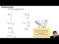 5I Reciprocals