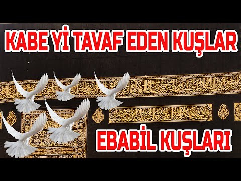 Kabe yi Tavaf Eden Ebabil Kuşları Bu Görüntüler Yürek Yakar Ağlamamak Mümkün mü?