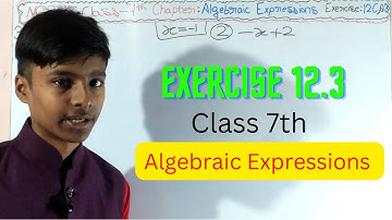 Q3, Ex 12 C - Algebraic Expression - Chapter 12- Maths Class 7th - NCERT