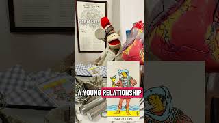 My babies--just loves talking about LOVE. #dailytarotcard#fyp#taroteveryday#sockmonkey